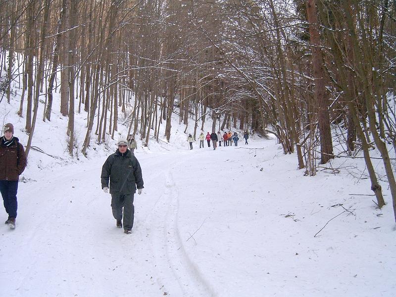20110122 026.jpg